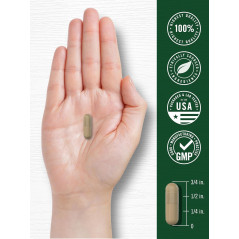 Centella Asiática Carlyle 1.500mg 180cap