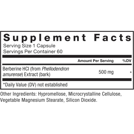 Berberina Force Factor 500mg 60cap