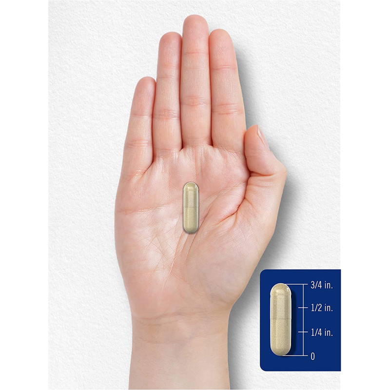 Leg Vein Support Carlyle 180 cap Leg Vein Support Carlyle 180 cap