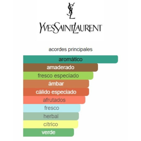 Yves Saint Laurent Y For Men
