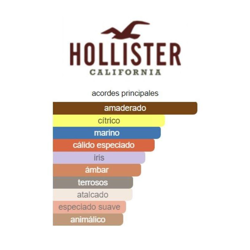 Hollister Free Wave Man