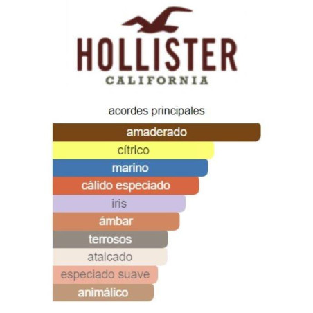 Hollister Free Wave Man