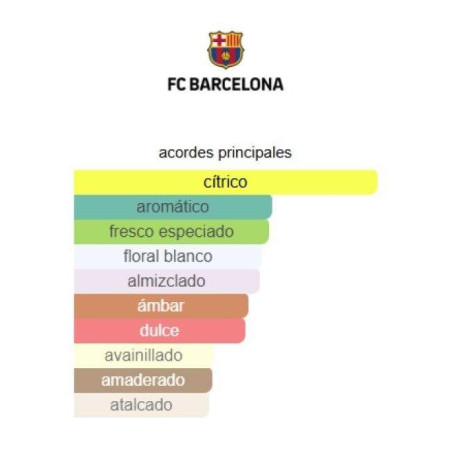 Barcelona FC Barcelona