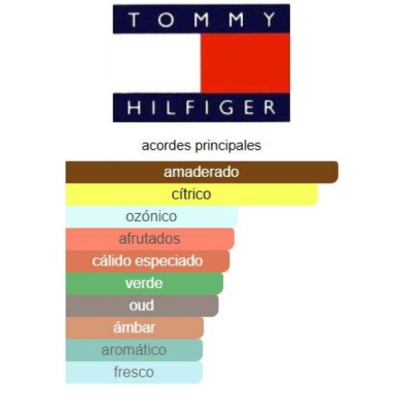 Tommy Hilfiger Impact Spark
