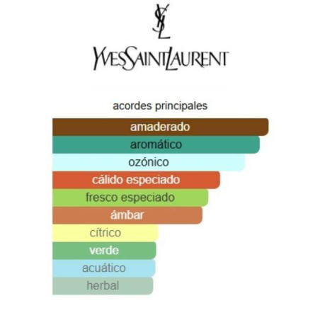 Yves Saint Laurent Homme Le Parfum