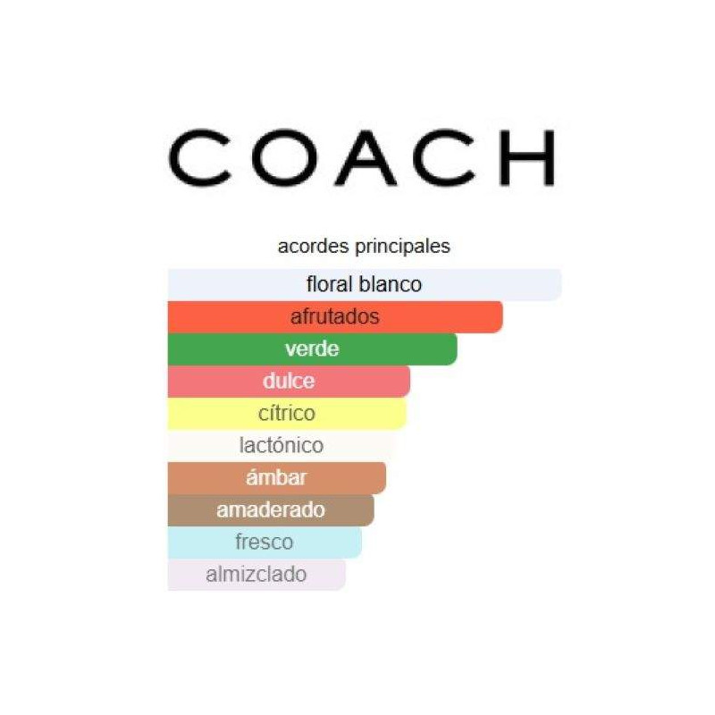 Coach Dreams Lady Coach Dreams Lady
