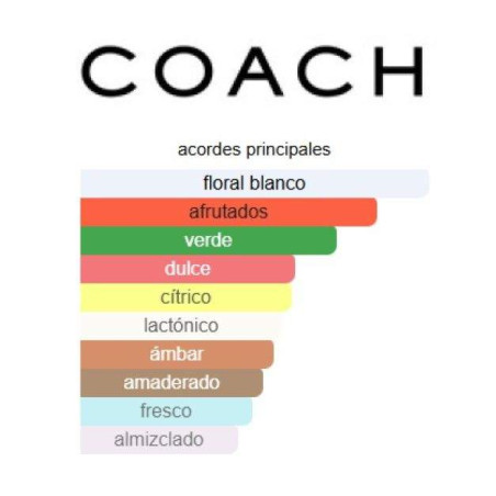 Coach Dreams Lady