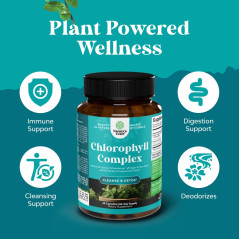 Clorofila Complex Natures Craft