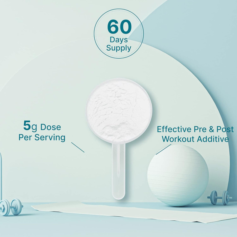 Creatina Monohidratada Deal 60 Servicios Creatina Monohidratada Deal 60 Servicios