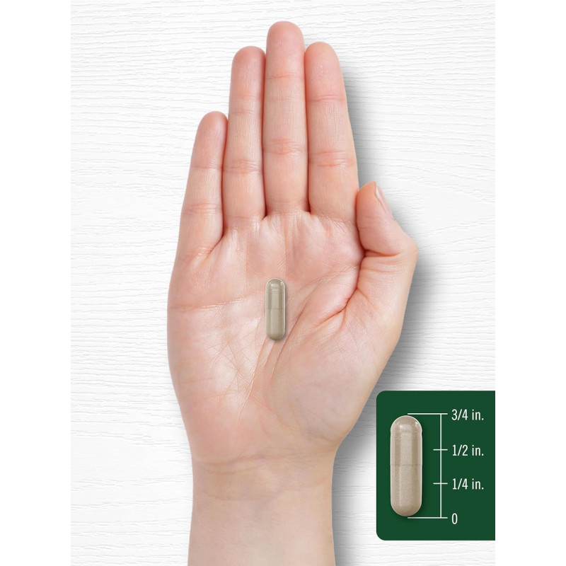 Ginseng Panax & Ginkgo Biloba 5.000mg Carlyle Ginseng Panax & Ginkgo Biloba 5.000mg Carlyle
