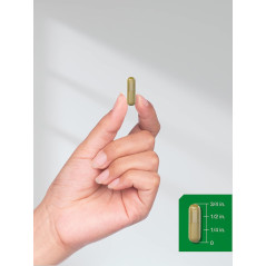 Horsetail 800mg Horbaach