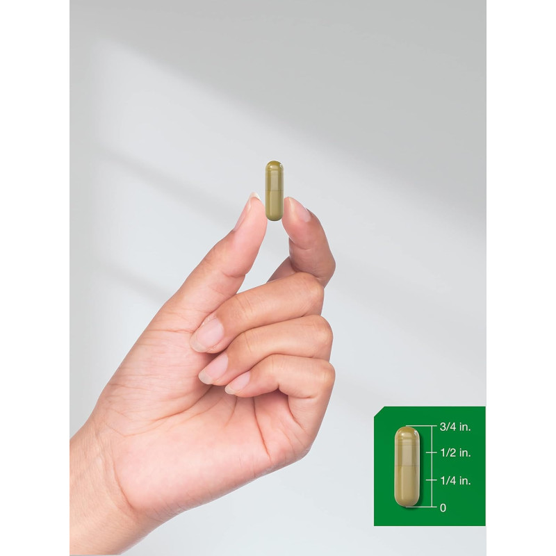 Horsetail 800mg Horbaach Horsetail 800mg Horbaach