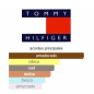 Tommy Hilfiger Impact 100ml