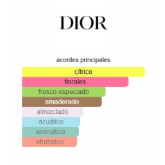 Christian Dior Addict Eau Fraiche 100ml