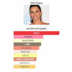 Sofia Vergara Love 240ml