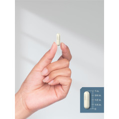 Bisglicinato de Magnesio Horbaach 750mg 120cap