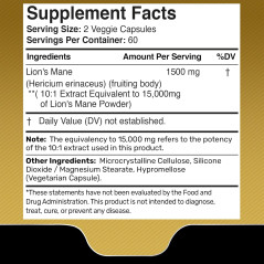 Hongo Melena de León Wellness Labsrx 15.000mg 120cap