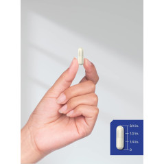 Gaba Horbaach  750mg  180cap