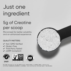 Creatina Monohidratada Sports Research 5gr 100 servicios