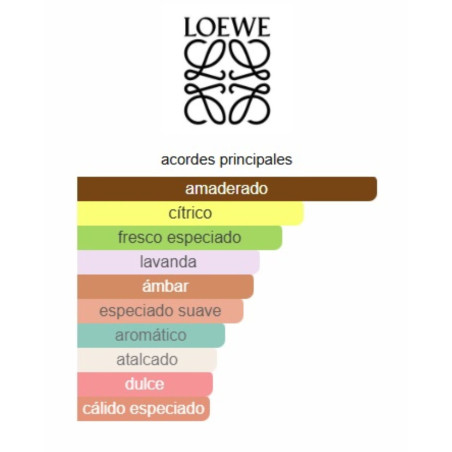 Loewe Solo Man