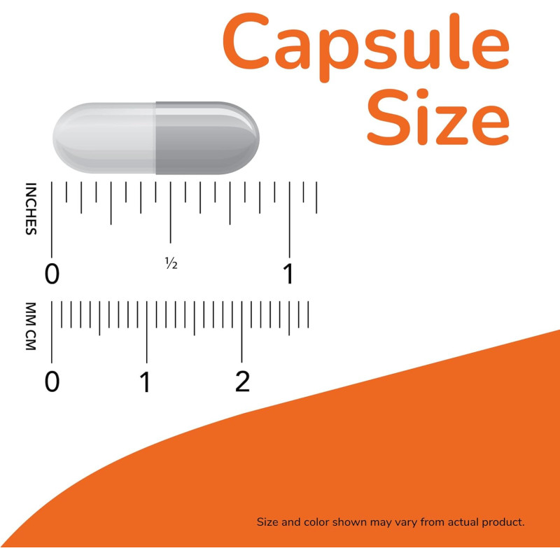 L-Lisina Now 500mg 100cap L-Lisina Now 500mg 100cap