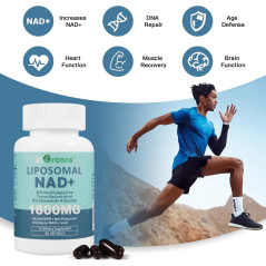 Liposomal Nad+ Ingreens 1.800mg 60cap