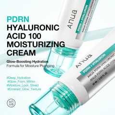 Crema Hidratante Anua PDRN + Hyaluron 60ml