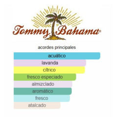 Tommy Bahama Martinique Men