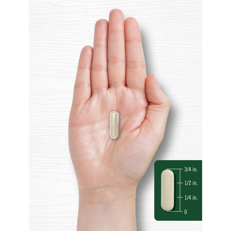 Gymnema Sylvestre 600mg 200cap