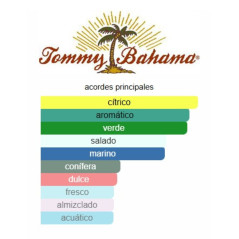 Tommy Bahama St. Barts Men