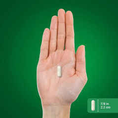 Magnesio Piping Rock 500mg 90cap