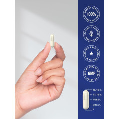 Neuro Support Complex Horbaach 120cap