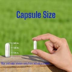 Diosmin Hesperidin VitaCosmox 180cap Diosmin Hesperidin VitaCosmox 180cap