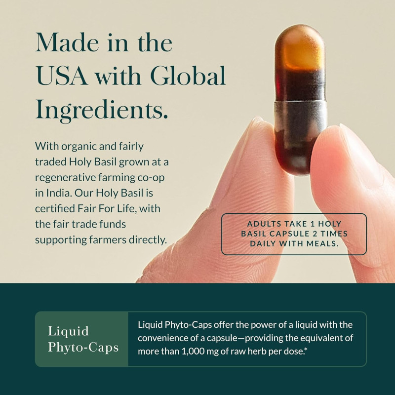 Holy Basil Leaf Gaia Herbs 60 cap Holy Basil Leaf Gaia Herbs 60 cap