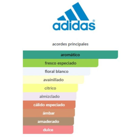 Adidas Champions League Arena Edition