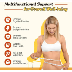 Acetyl L-Carnitina Zetelixia 2.000mg 60gom