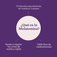 Melatonina Natrol Kids 1mg 90gom Melatonina Natrol Kids 1mg 90gom