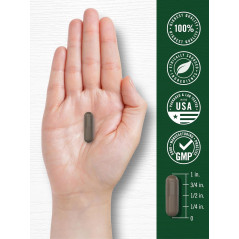 Shilajit Carlyle 2.000mg 90cap