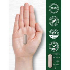 Castaño de Indias Carlyle 600mg 180cap