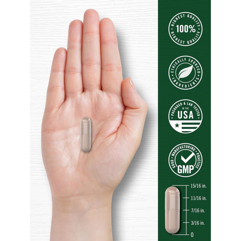 Castaño de Indias Carlyle 600mg 180cap