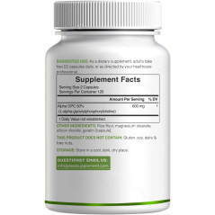 Alpha GPC Deal Supplement 600mg 240cap