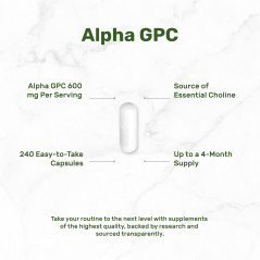 Alpha GPC Deal Supplement 600mg 240cap Alpha GPC Deal Supplement 600mg 240cap