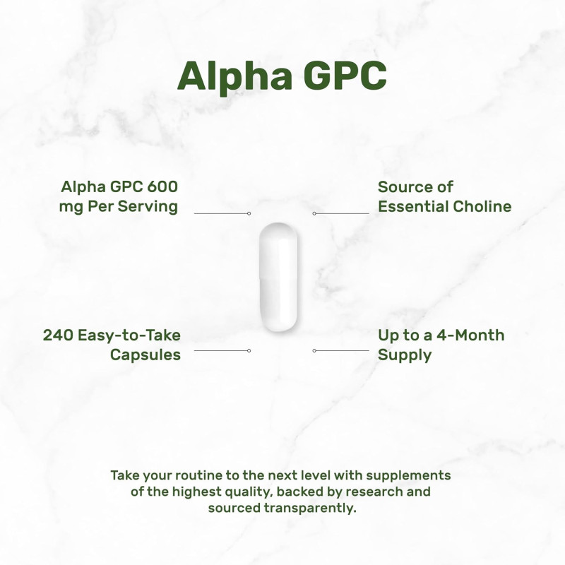 Alpha GPC Deal Supplement 600mg 240cap Alpha GPC Deal Supplement 600mg 240cap