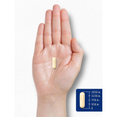 Ácido Alfa Lipoico  Carlyle 600mg 90cap