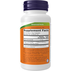 Dong Quai Now 520mg 100cap