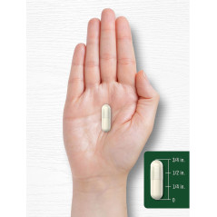 Ñame Silvestre Carlyle 1.200mg 200cap