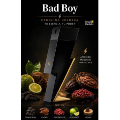Carolina Herrera Bad Boy EDT 100ml