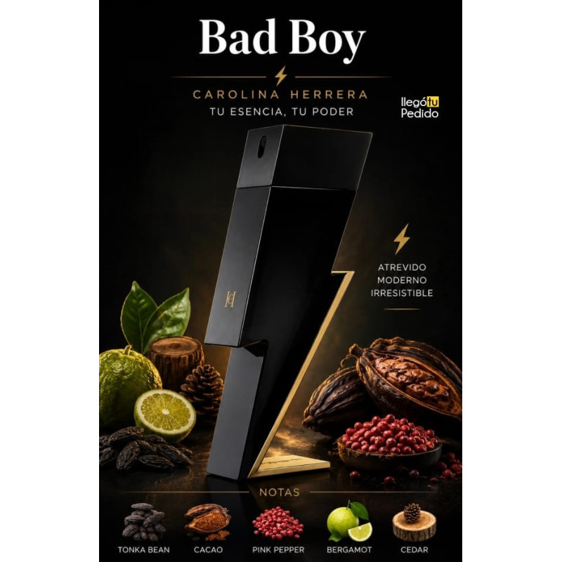 Carolina Herrera Bad Boy EDT 100ml