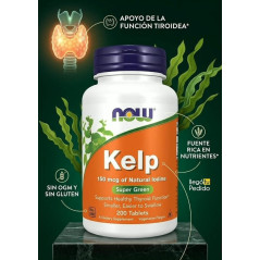 Kelp Now 150mcg  200cap