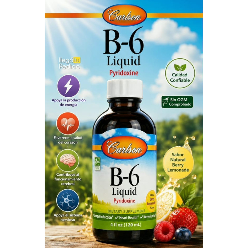 Vitamina B-6 Carlson 100mg 120ml